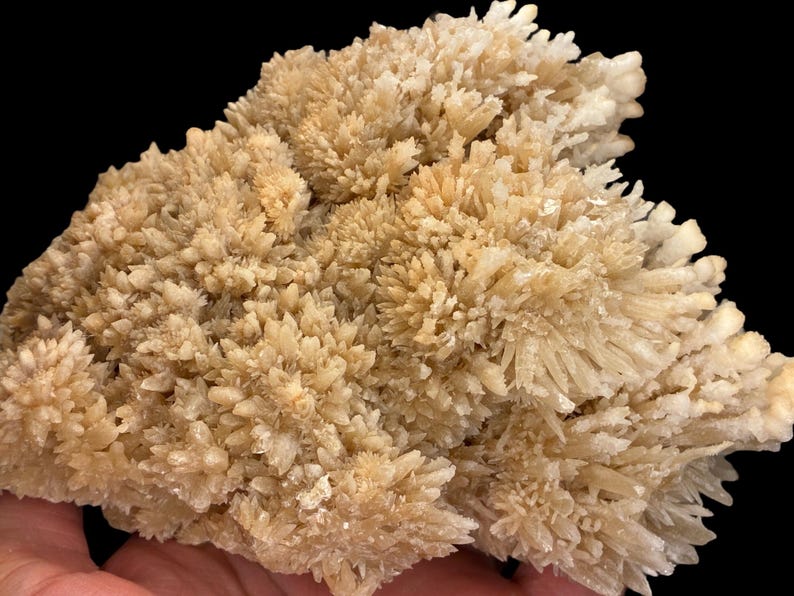 May include: A cluster of light beige crystals with a spiky, textured appearance. The crystals are densely packed, creating a rough, uneven surface. The background is black, highlighting the natural formation.