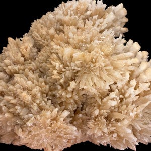 May include: A close-up of a cluster of light beige crystals against a black background. The crystals have a spiky, textured appearance, with many small, pointed formations. The overall shape is irregular and organic, resembling a natural mineral formation.