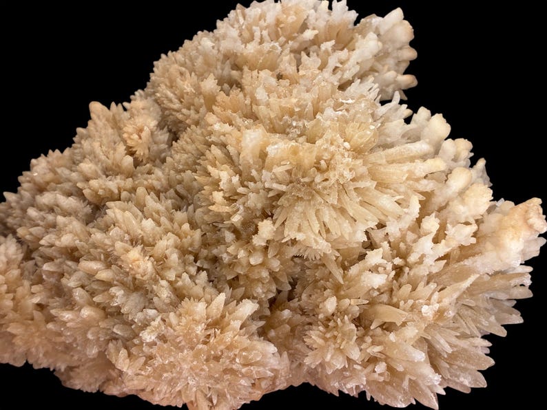 May include: A close-up of a cluster of light beige crystals against a black background. The crystals have a spiky, textured appearance, with many small, pointed formations. The overall shape is irregular and organic, resembling a natural mineral formation.