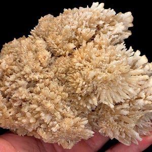 Natural Aragonite Crystal Cluster, rare gemstone mineral specimen with raw crystal rocks and unique star formation. Perfect for meditation, spiritual healing, and connecting with higher power energy flow.
This gemstone is valued as a crystal of balance, grounding, and higher consciousness. Ideal for crystal collectors, meditation spaces, gemstone displays, and spiritual altars. A natural healing stone that supports chakras, inner strength, and crystal energy work.
