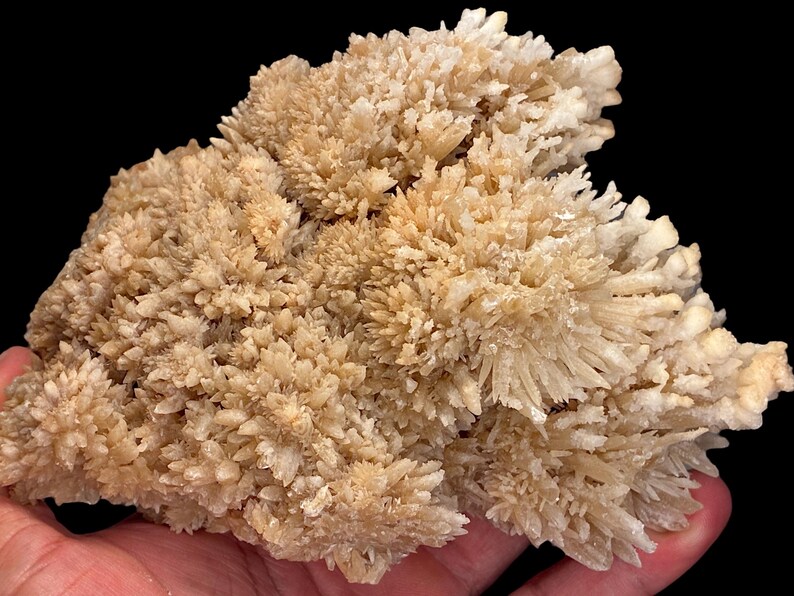 Natural Aragonite Crystal Cluster, rare gemstone mineral specimen with raw crystal rocks and unique star formation. Perfect for meditation, spiritual healing, and connecting with higher power energy flow.
This gemstone is valued as a crystal of balance, grounding, and higher consciousness. Ideal for crystal collectors, meditation spaces, gemstone displays, and spiritual altars. A natural healing stone that supports chakras, inner strength, and crystal energy work.