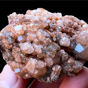 May include: A cluster of small, translucent, orange-brown crystals on a matrix of dark brown rock. The crystals have a rough, faceted texture and are arranged in a dense, irregular pattern.