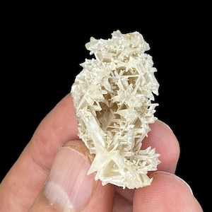 May include: A cluster of white selenite crystals with a delicate, intricate, and delicate structure. The crystals are translucent and have a slightly iridescent sheen.
