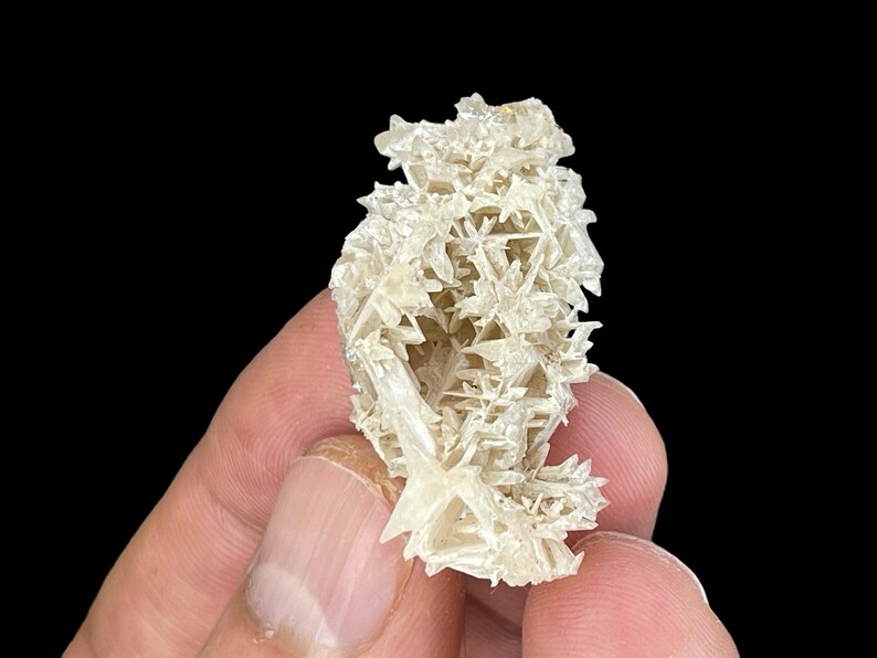 May include: A cluster of white selenite crystals with a delicate, intricate, and delicate structure. The crystals are translucent and have a slightly iridescent sheen.