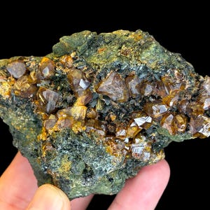 Könnte beinhalten: Nahaufnahme einer Mineralprobe mit Ansammlungen goldbrauner Kristalle. Die Kristalle sind auf einer dunkelgrünen und schwarzen Matrix angeordnet, was einen auffälligen Kontrast erzeugt. Die Probe wird vor einem schwarzen Hintergrund gehalten.