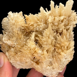 May include: A cluster of light beige crystals with a spiky, textured appearance. The crystals are densely packed, creating a rough, uneven surface. The mineral formation is set against a dark background.