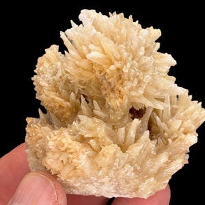 May include: A cluster of light beige crystal formations with sharp, pointed structures. The crystals are densely packed, creating a textured, spiky appearance. The background is solid black, highlighting the mineral's color and form. The mineral is held by a hand.