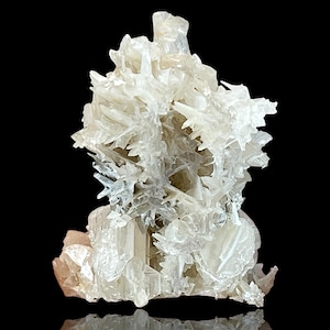 May include: A cluster of white selenite crystals with a delicate, intricate structure. The crystals are translucent and have a slightly iridescent sheen. The cluster is approximately 5 inches tall and 4 inches wide.