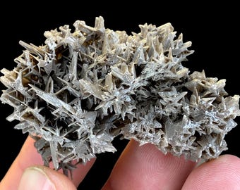 Natural Cerussite Crystal Cluster Specimen, Rare Mineral Display Piece, Gray Prismatic Crystals on Matrix, Collector Rockhound Geology Gift
