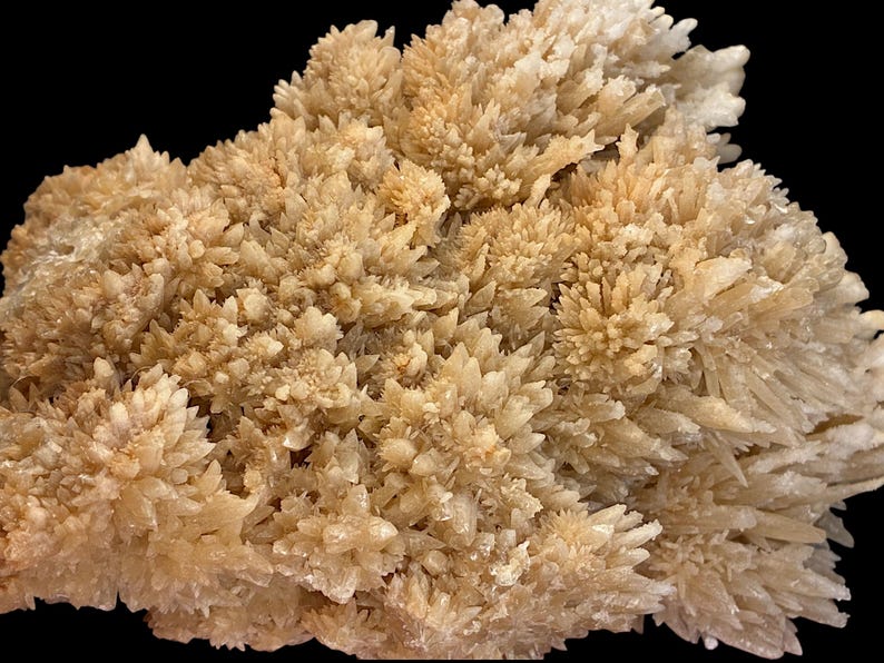 May include: Close-up of a beige mineral formation with a spiky, crystalline structure. The mineral has a rough texture and a natural, earthy appearance, set against a black background.