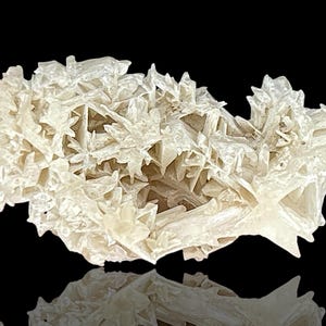 Rare Snowflake Cerussite Crystal cluster – A stunning raw mineral Cerussite specimen featuring intricate reticulated crystal formations. This unique natural gemstone is perfect for collectors and those seeking distinctive rock and stone pieces. Its delicate snowflake-like pattern and captivating natural beauty make it an ideal addition to home decor, meditation spaces, or crystal healing collections. A rare and beautiful piece, showcasing nature's artistry in every detail.