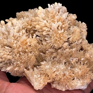Natural Aragonite Crystal Cluster, rare gemstone mineral specimen with raw crystal rocks and unique star formation. Perfect for meditation, spiritual healing, and connecting with higher power energy flow.
This gemstone is valued as a crystal of balance, grounding, and higher consciousness. Ideal for crystal collectors, meditation spaces, gemstone displays, and spiritual altars. A natural healing stone that supports chakras, inner strength, and crystal energy work.
