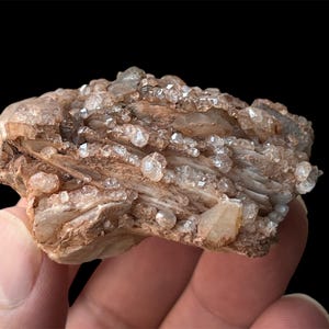 May include: A cluster of small, clear quartz crystals embedded in a brown, layered rock. The crystals are scattered throughout the rock, giving it a sparkling appearance.