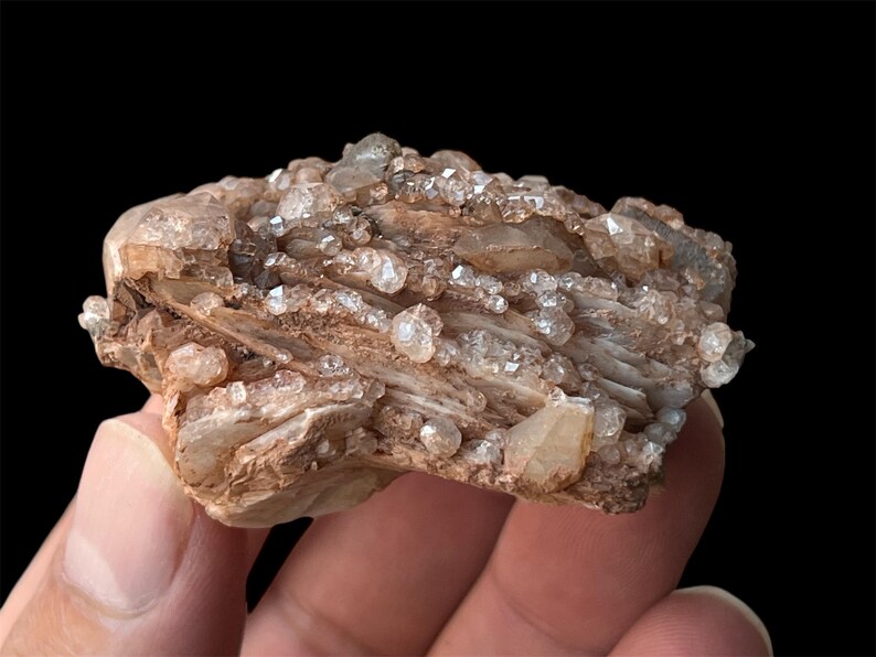 May include: A cluster of small, clear quartz crystals embedded in a brown, layered rock. The crystals are scattered throughout the rock, giving it a sparkling appearance.