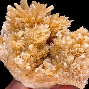 May include: A cluster of light orange calcite crystals with a spiky, radiating structure. The crystals have a soft, almost fuzzy appearance, with a mix of larger, pointed formations and smaller, more delicate clusters. The background is black.