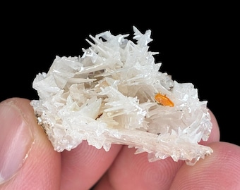 03 完璧な状態のセルサイトを備えたオレンジ色のウルフェナイト - Etsy