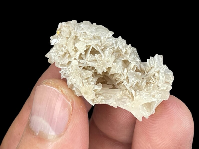 May include: A cluster of white selenite crystals with a delicate, feathery texture. The crystals are arranged in a loose, organic shape, creating a natural, earthy aesthetic.