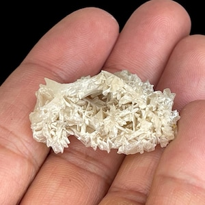 May include: A cluster of white selenite crystals with a delicate, feathery appearance. The crystals are arranged in a random, organic pattern, creating a unique and beautiful display.