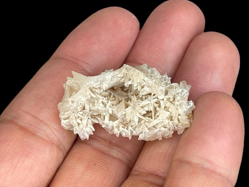 May include: A cluster of white selenite crystals with a delicate, feathery appearance. The crystals are arranged in a random, organic pattern, creating a unique and beautiful display.