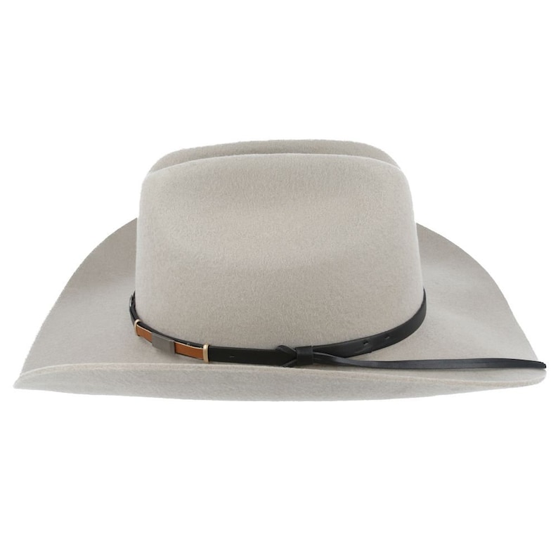 Pode incluir: Um chap&eacute;u de cowboy de feltro cinza claro com uma faixa de couro preto e um detalhe de couro castanho. O chap&eacute;u tem uma aba larga e uma coroa alta.
