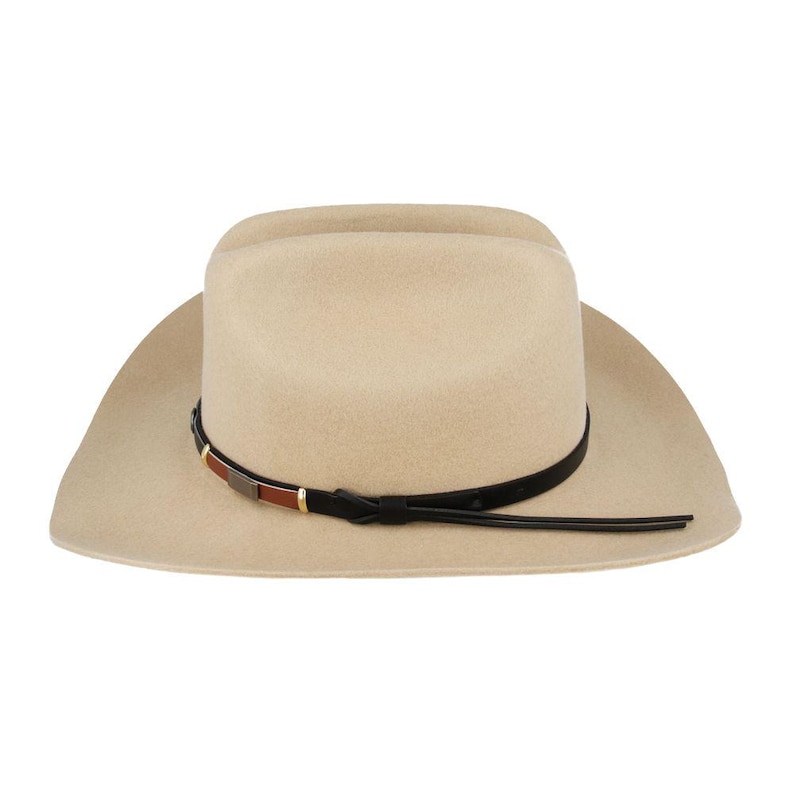 Pode incluir: Um chap&eacute;u de cowboy de feltro bege com uma faixa de couro preta e um detalhe de couro castanho. O chap&eacute;u tem uma aba larga e uma coroa alta.
