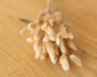 Colas de conejo secas naturales: 50 colas de conejo Lagurus, 45 cm (18 pulgadas)