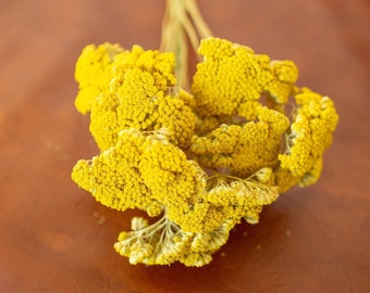 Dried Yellow Yarrow Stems / Golden Achillea / Dried Decoration floral accents / Dried flowers for wedding / Natural bundle bunch