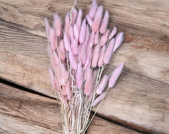 Light Pink Dried Bunny Tails Grass Stems, Lagurus Floral Arrangement Decor
