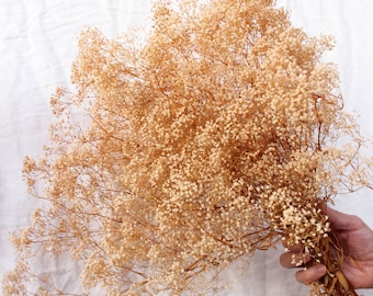 Aliento de bebé dorado preservado: flores de relleno de gypsophila natural