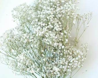 Dried Baby's Breath Flowers: Natural Wedding Floral Accents