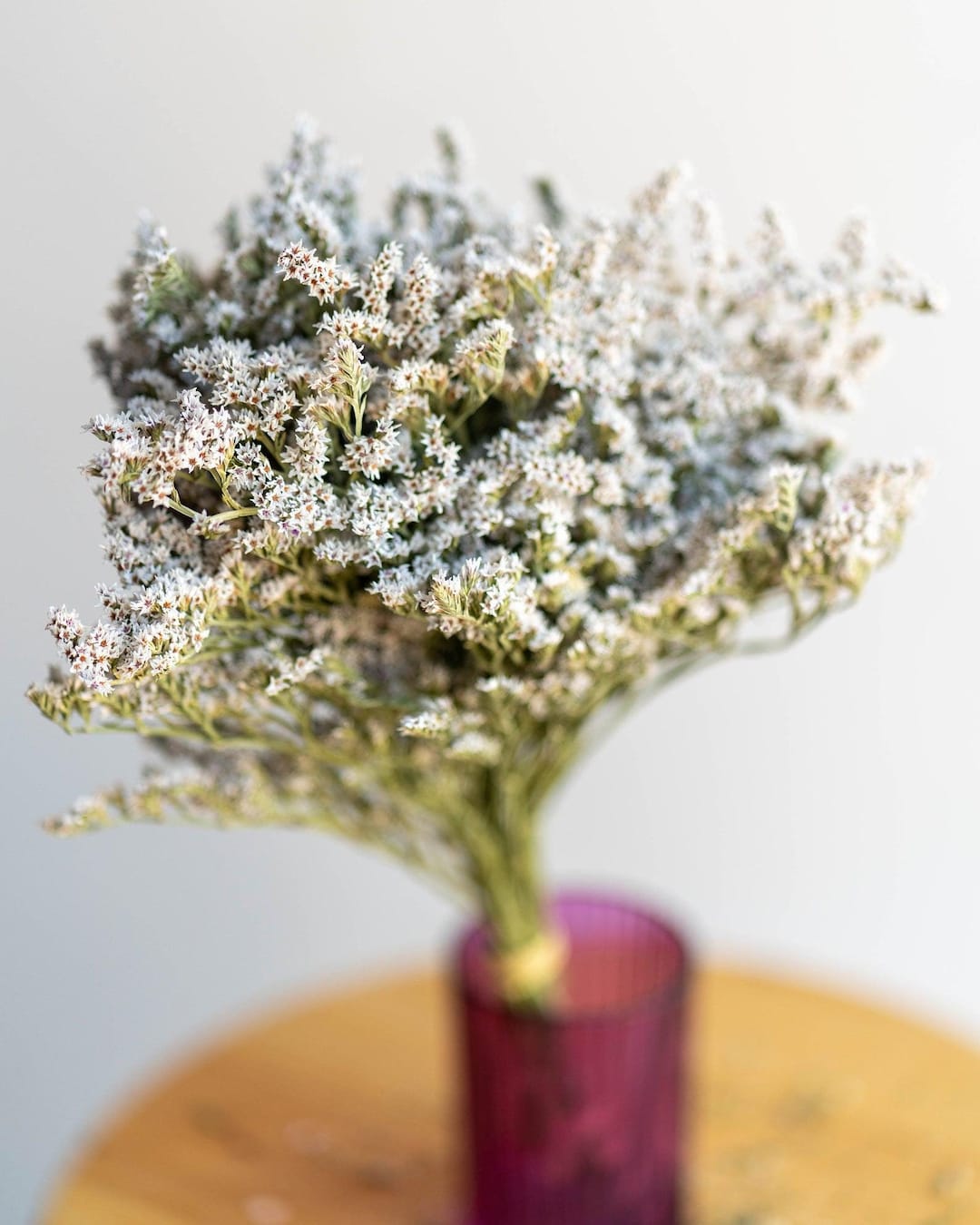 Dried German Statice Bunch / Weight 2 Ounce - Etsy