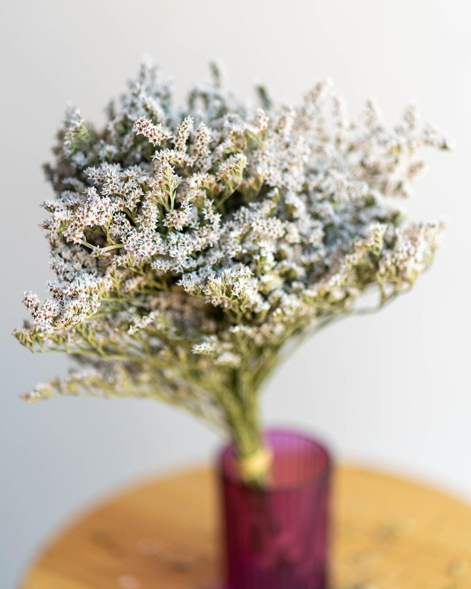 Dried German Statice Bunch / Weight 2 ounce