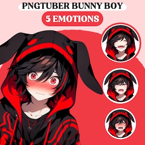 PNGTuber Model | Bunny Boy PNGTuber Premade Model | Anime PNG Tuber Assets | Cute Animal PNGTuber Boy | Vtuber Assets, VeadoTube Model