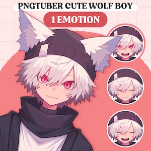 Cute PNGTuber Model | Anime Wolf Boy PNGTuber Premade Model | VeadoTube Model | Cute PNG Tuber Model | Vtuber Model, Reactive PNG, GIFTuber