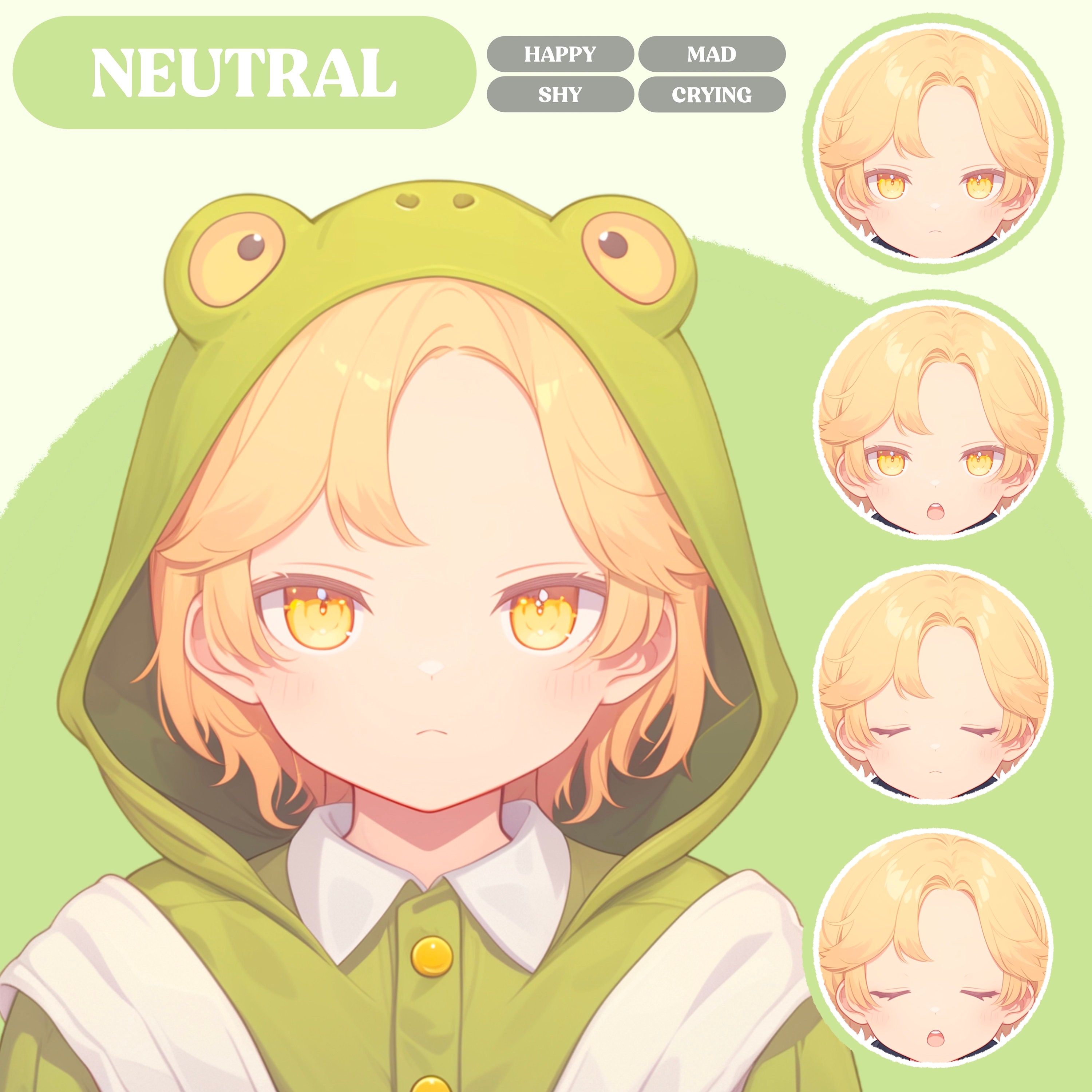 Vtuber Rana PNGTuber Modelo / Chibi Rubio Rana Niño PNGTuber Modelo Prefabricado ...