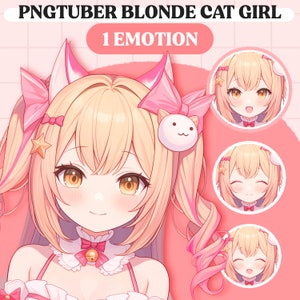 Schattig PNGTuber-model | Kat meisje PNGTuber Premade Model | VeadoTube-model | Schattig PNG-knolmodel | Vtuber-model, reactieve PNG, GIFTuber
