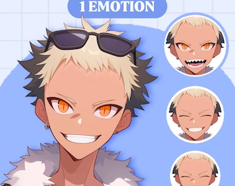Lindo modelo PNGTuber / Anime Boy PNGTuber Modelo prefabricado / Modelo VeadoTube / Lindo modelo PNG Tuber / Modelo Vtuber, PNG reactivo, GIFTuber
