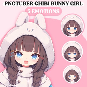 PNGTuber Model | Chibi Bunny Girl PNGTuber Premade Model | Chibi PNG Tuber Asset | Cute Animal PNGTuber Model | Vtuber Assets, VeadoTube