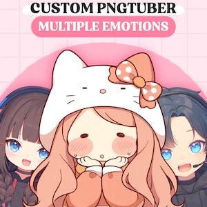 Custom PNGTuber Model | Girl PNGTuber Commission | Chibi PNGTuber Model | Cute PNG Tuber Model | Boy Vtuber Model, VeadoTube, GIFTuber