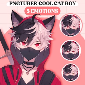 Modelo PNGTuber / Anime Cat Boy PNGTuber Modelo prefabricado / Chibi PNG Tuber Asset / Animal lindo PNGTuber Boy / Vtuber Assets, Modelo VeadoTube