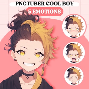 PNGTuber モデル | ちびクールボーイ PNGTuber 既製モデル | ちび PNG チューバーアセット | かわいい PNGTuber ボーイ | Vtuber アセット、VeadoTube モデル