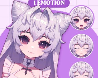 Cute PNGTuber Model | Anime Girl PNGTuber Premade Model | VeadoTube Model | Cute PNG Tuber Model | Vtuber Model, Reactive PNG, GIFTuber F06