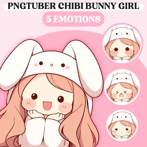 Chibi PNGTuber Model | Chibi Bunny Girl PNGTuber Premade Model | Chibi PNG Tuber Asset | Animal PNG Tuber Model | Vtuber Model, VeadoTube