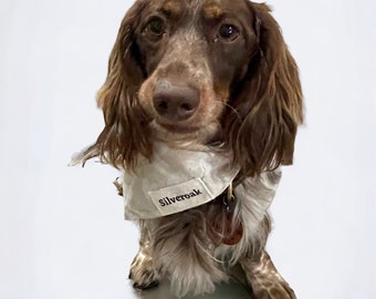 Bandana Chiens, Beige avec coeurs blancs