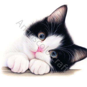 12 zwart-witte kat clipart, commercieel gebruik, grillige ephemera, aquarel clipart JPGs, Instant Download, Junk Journal, Paper Craft