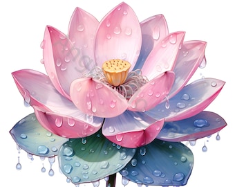12 imágenes prediseñadas de loto en acuarela, nenúfares, arte de flor de loto, hojas verdes de loto JPG, descarga digital floral, gráficos, invitaciones florales