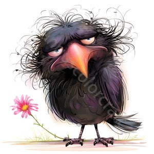 14 Crazy Raven Clip art, Funny Bird Clipart, jpgs de alta calidad, Descarga digital, Imágenes Prediseñadas de acuarela, Imprimibles, Licencia comercial, Flor