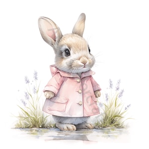 13 JPGs Cute Whimsical Raincoat Rabbit Clipart, Cute Bunny Clip art, download digital, aquarela clipart, para impressão, licença comercial