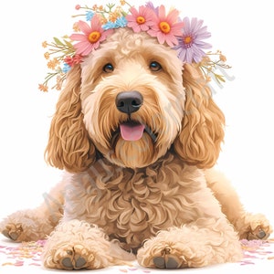 Spring Mini Golden Doodle Clipart - 13 High Quality JPGs - Digital Download - Card Making, Clip Art, Digital Paper Craft, Puppy, Cute Dog