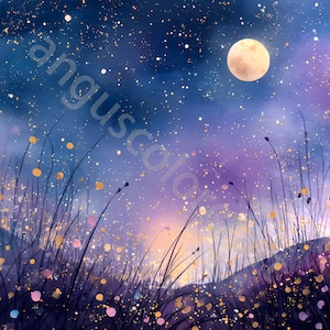 Può includere: Dipinto digitale di una scena notturna con luna piena, stelle e un campo di erba alta. Il cielo passa dal blu scuro al viola, con accenti gialli e rosa. Il testo "anguscolor" è nell'angolo in alto a sinistra.
